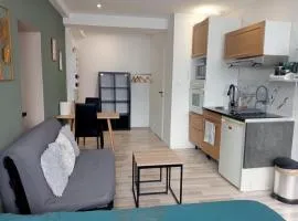 Grand studio centre-ville