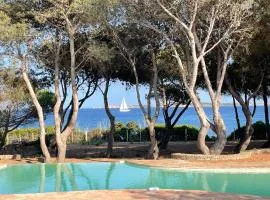 La Maison sur la plage - Les pieds dans l'eau