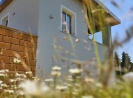 Ferienhaus am Thüringer Meer, vila di Bad Lobenstein