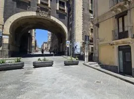 Crociferi Home di Agata e Aurora