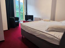 Pensiunea Lucy, Hotel in Sinaia