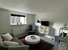 Cozy basement apartment