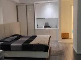 Senjak studio apartment, near Belgrade waterfront