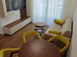 Lux apartment airport