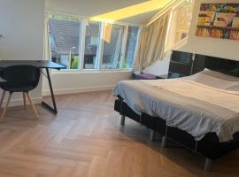 Ruime slaap kamer met werkplek en privé badkamer bij Jacqueline, hotel v destinaci Leeuwarden