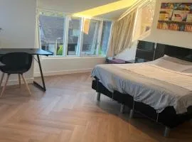 Ruime slaap kamer met werkplek en privé badkamer bij Jacqueline