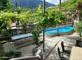 Shota's Guest House