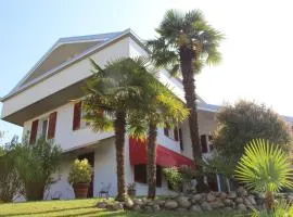BF SUITE Foresteria Bellusci