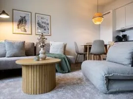 Stylish Novel Apartments in Lapland - Sauna & Balcony