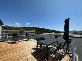 Penthouse Rooftop 33