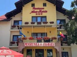 Pensiunea Ana Maria