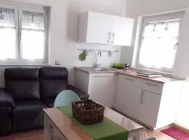 Charming studio apartment with parquet