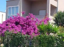 Cinzia House