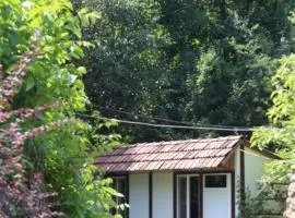 Eco Nest