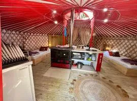 Ravissant yourte traditionnelle