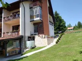 Vila Trtović