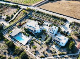 Althea Luxury Villas, mullivanniga hotell sihtkohas Andiparos