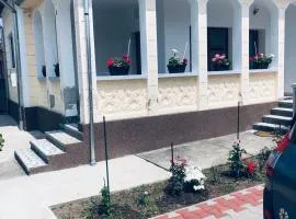 Casa Petrutiu1