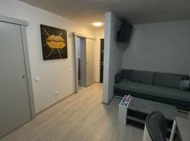 MANIU-APUSULUI Studio