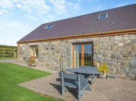 Siambr Cottage - Uk48257