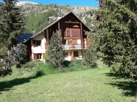 Marmotte Monetier