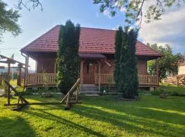 Casa tradițională Bilbor
