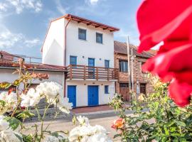 Modrý sklep 77, hotel in Velké Pavlovice