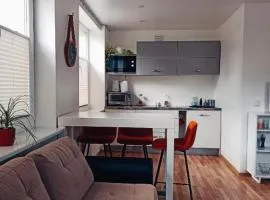 Haapsalu Apartment InCenter