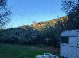 CAMPING Pleine Nature