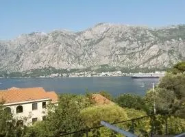 Apartments Djuricic