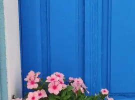 La casa del Paguro Bernardo