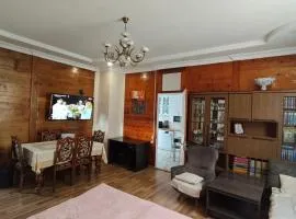 Comfort stay for 5 persons-Wooden living room