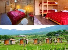 Fishta Guesthouse - Mrizi i Zanave