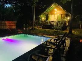 Nature World Jungle Paradise