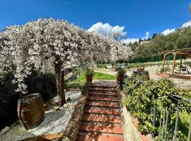 Agriturismo Tassinaia, caba&ntilde;a o casa de campo en Pontassieve
