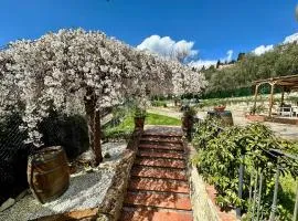 Agriturismo Tassinaia