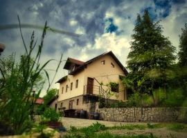 Casuta din Padure、カリマネシュティのヴィラ