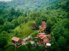Elagza Dag Evi