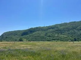 Home Delic Komarnica
