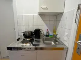 Bright Studio Near City & Nature
