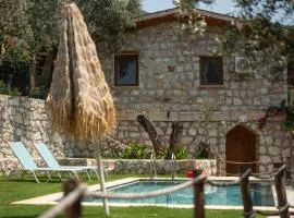 Stone House with Pool Among Olive Trees in Kabak