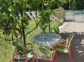 Vila Spas