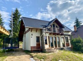 Cabana Lapina, hotel din Vatra Dornei