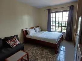 Stylish Studio Apartments, StadeView Apartment