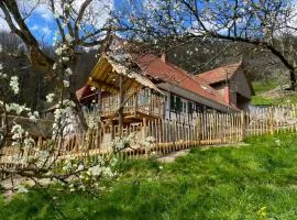 Ferienhaus Ottenhöfen - Sauna | Hot Tub