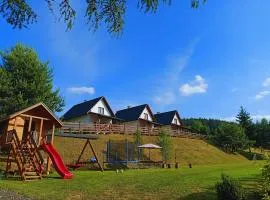 Bieszczadzki Bohater Domki 533-502-137