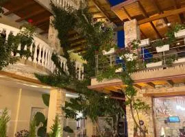 Vila Arial