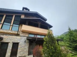 Къща за гости Seltse Villa