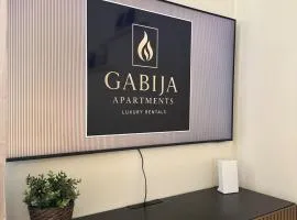 Gabija Apartments Luxury Rentals