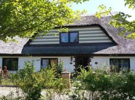 Ferienwohnung-Amselnest-in-Wiek-auf-Wittow